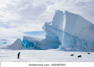 Antarctic Typical Landscape