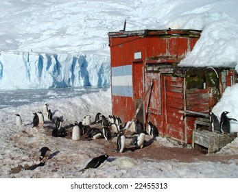 Antarctica