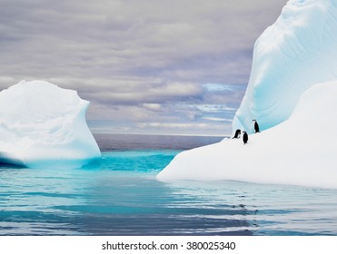 Antarctica Iceberg