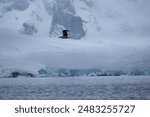 Antarctica mountains and sea. South Pole. Antarctica landscape