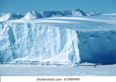 Antarctica, Weddell Sea, Riiser Larsen Ice Shelf, Iceberg With Emperor Penguins