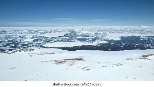 Antarctica wildlife exploration landscape, aerial perspective. Winter scene penguins resting snow covered coast, ocean glaciers ice floe under blue sky. Antarctic travel and exploration. Drone flight - Powered by Shutterstock