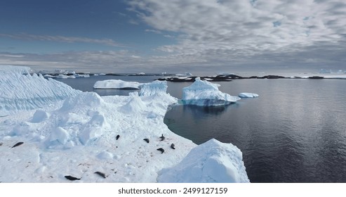 Antarctica wildlife protection. Seals sleeping on ice floe, aerial drone shot. Animals lying on melting iceberg in polar ocean. Explore South Pole. Global issue of climate change and melting icebergs - Powered by Shutterstock