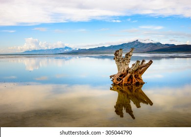 Antelope Island State Park