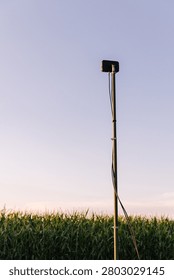 Antenna setup in a cornfield providing control for a ukrainian heavy strike hexacopter drone bomber