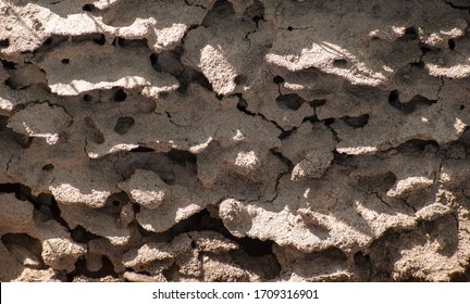 AntHill in the ground. Internal structure of the anthill. Texture.