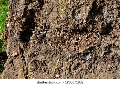 4,819 Soil litter Images, Stock Photos & Vectors | Shutterstock