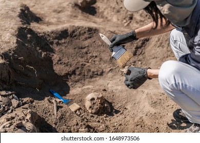 Anthropology Field Work. Anthropologists Holding Ancient Human Bones At Ancient Burial Site. 