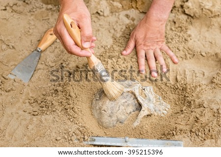 Anthropology - hands of an anthropologist revealing human skull from dirt