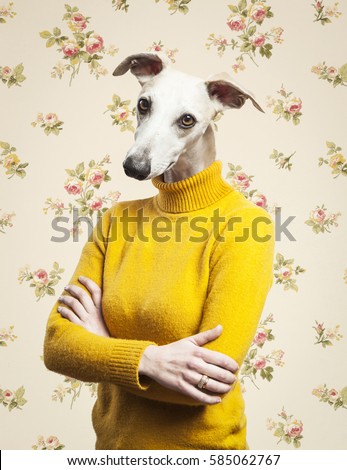 anthropomorphic dog portrait. woman body with greyhound's head