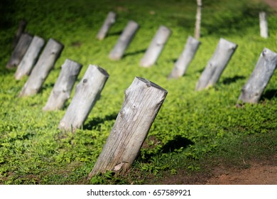 Anti Tank Barrier Vintage Wooden Antitank: foto de stock (editar ahora ...