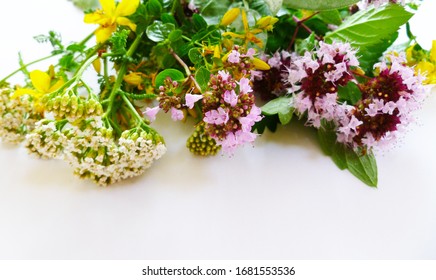 Anti viral herbs. Collection of fresh herbs, bunch of healing herbs. Oregano, Yarrow, Sage and John Wort in rustic setting. Fresh herbs on wooden table. Still life, closeup, selective focus.