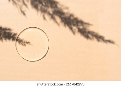 Anti-aging Serum On A Beige Background With An Abstract Shadow From A Plant On A Beige Background. Peptide, Serum To Maintain Skin Elasticity.