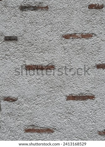 antic wall incrusted with slim bricks in old European city