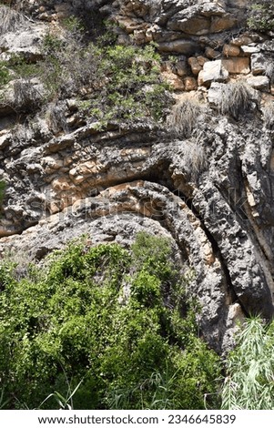 Anticlinal fold in Jurassic limestone of Valencia (Spain).