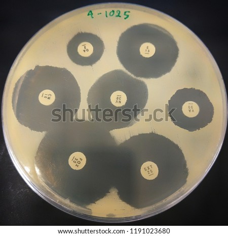 Antimicrobial Susceptibility of  Resistant Staphylococcus 