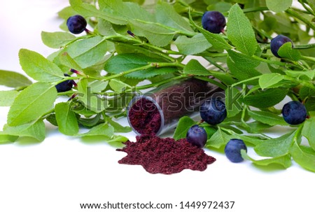 Antioxidant rich Blueberry Powder made freeze dried super food and hand picked wild Nordic berry from Lapland with leaf. Healthy and trendy food from nature