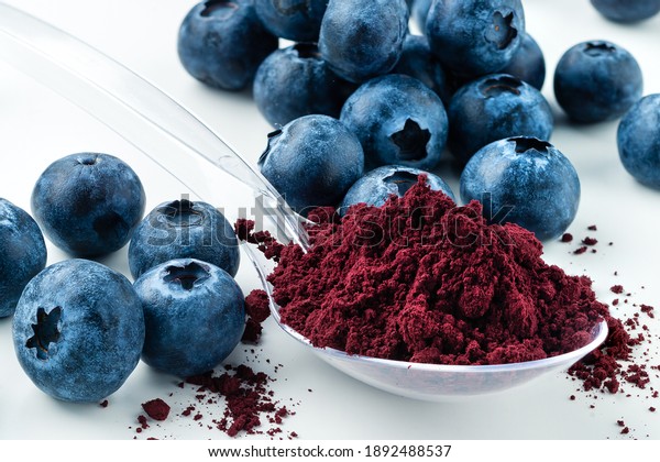 Antioxidant rich Blueberry Powder made freeze\
dried super food and hand picked wild Nordic berry dry blueberry\
powder Healthy and trendy food from\
nature