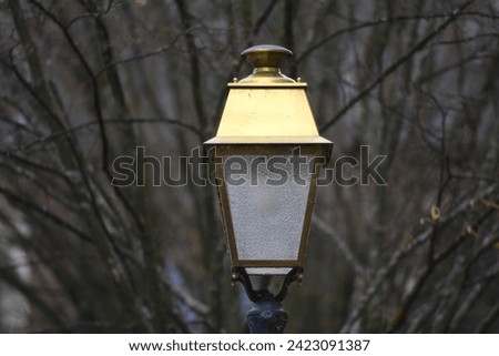 Antique brass street lantern in the picturesque village of Molsheim in Alsace, France. 