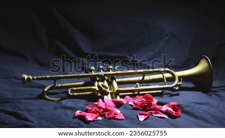  an antique jazz trumpet and rose petals on the bed in the morning