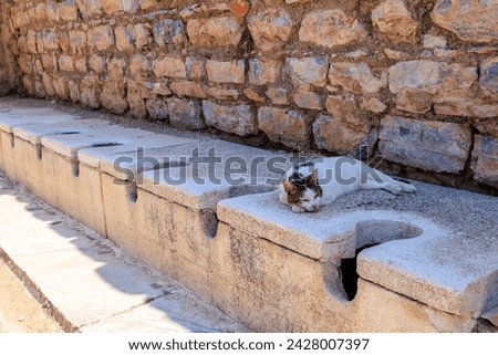 Antique Roman public toilet in the city of Ephesus. Background with selective focus and copy space for text