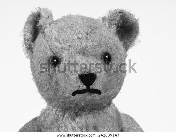 antique teddy
