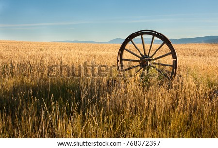 antique wooden wagon wheel with metal rim standing upright in a field of wheat located in eastern Montana
