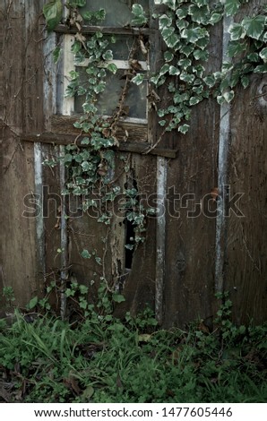 Similar – Rusty window with flower pots