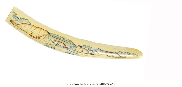 Antiques, Art, Collectibles. Swap Meet. Isolated Over White Background. Walrus Tusk, Color Drawing Of A Bear On The Hunt