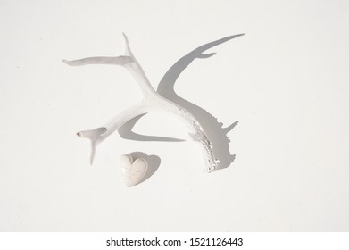 Antler And Heart Inscribed With Vision Quest Map. Photographed On A White Background With Graphic Shadow. 