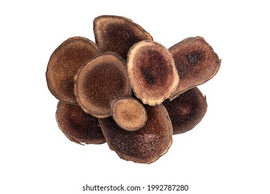 Antler slices of the Altai maral on a white background. Maral pant is a source of amino acids, vitamins, macro- and microelements. Boosts immunity, men's health