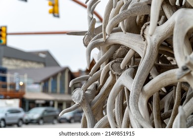 Antlers In The Arch In Jackson Hole, WY