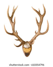 Antlers from a huge stag mounted on wood board, weight over 7 kilos, hunted in 1898