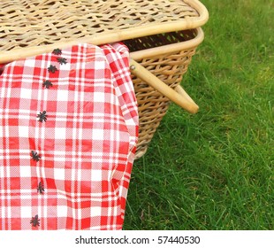 Ants Invade A Picnic Basket