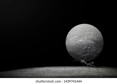 The ants try to lift the round-shaped stone. the ants are carrying the stone. Concept effort and patience, hard work