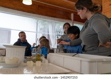 Anversa, Abruzzo / Italy -June 2 2019: Children Take Part In A Cheese Making Class On A Sheep Farm In Anversa. The Class Takes Place After Hike Which Highlights Traditional Sheep Farming Methods.