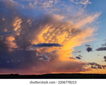 Anvil Storm Cloud With Mammatus With Wetland In Foreground 