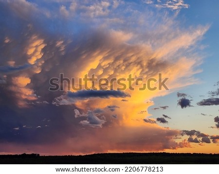 Anvil storm cloud with mammatus with wetland in foreground 
