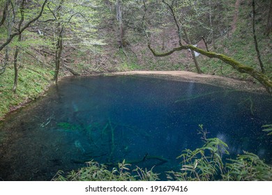 Aoike Pond, Shirakami Sanchi, Japan