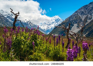 Aoraki Mount Cook New Zealand