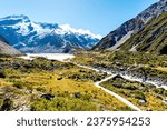 Aoraki Mount Cook is the tallest mountain in New Zealand, arriving at a level of 3,724 meters. It is situated in the Southern Alps and is a significant site of immaculate excellence for vacationers.