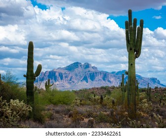 Apache Junction Arizona Superstition Mountains