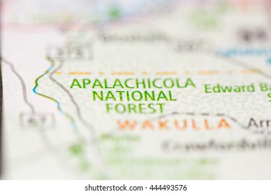 Apalachicola National Forest. Florida. USA