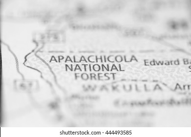 Apalachicola National Forest. Florida. USA