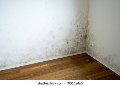 apartment room with mildew and mold problem on the white wall
