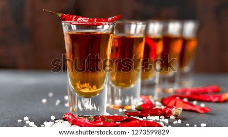 aperitif with friends in the bar, five glasses of alcohol with  salt and chili pepper for decoration. Tequila shots, vodka,whisky, rum.  selective focus and copy space