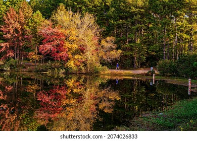 Apex North Carolina Usa11 12 2021 Stock Photo 2074026833 | Shutterstock