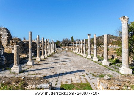 Aphrodisias ancient colonnaded road stands against a clear blue sky, archeological site, famous Greco-Roman city near Geyre, Turkiye (Turkey)