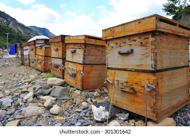 apiary