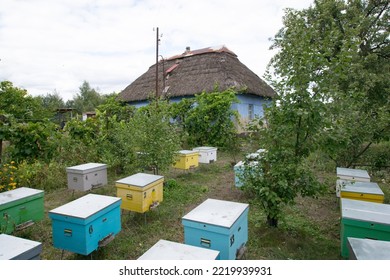 An Apiary Near An Old Ukrainian House